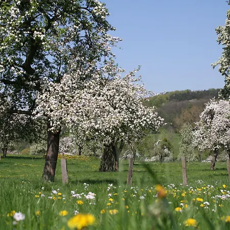 Brull Гульпен