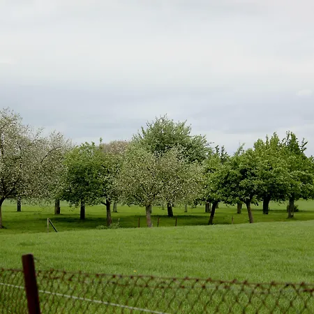 Brull Отель Гульпен