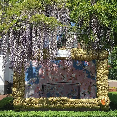 Brull מלון מכלן