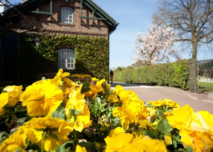 Ξενοδοχείο Brull 3*